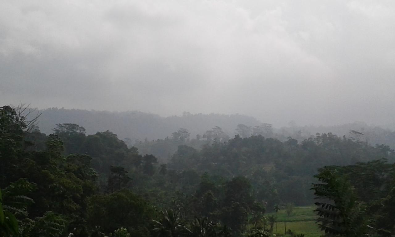 Rainforest Mount Lodge Денияйя Экстерьер фото