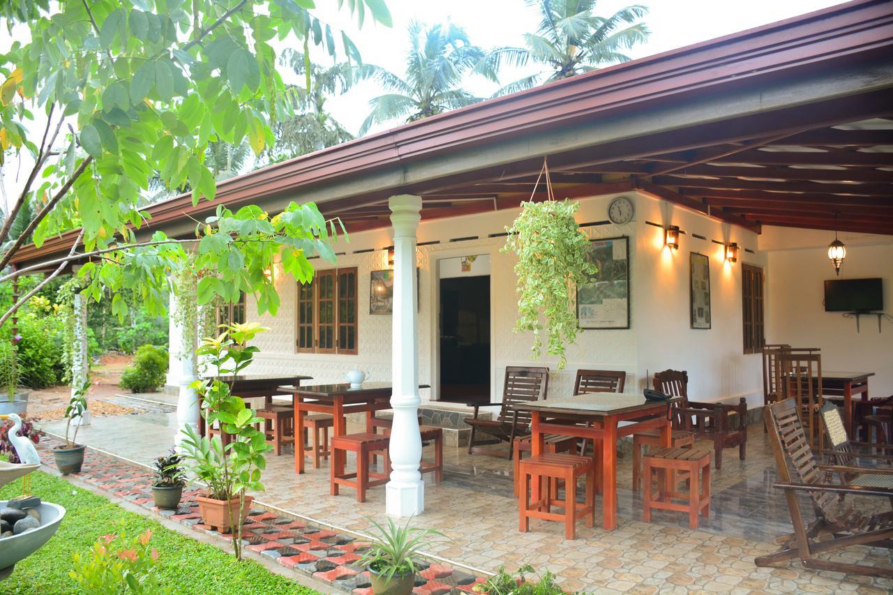 Rainforest Mount Lodge Денияйя Экстерьер фото